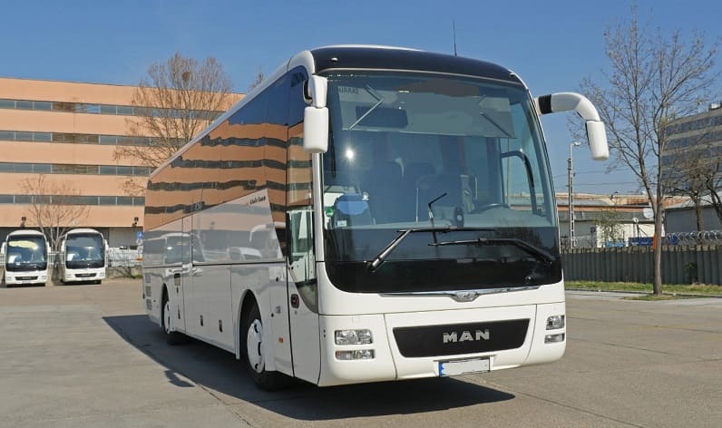 Bern: Buses operator in Belp in Belp and Switzerland